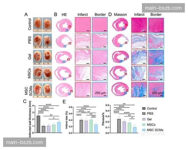举办方、媒体、技术方早期介入协同策划 优化整体呈现方案
